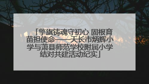 擎旗铸魂守初心 固根育苗担使命——天长市炳辉小学与萧县师范学校附属小学结对共建活动纪实