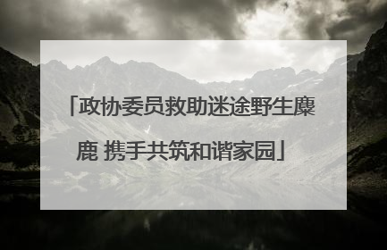 政协委员救助迷途野生麋鹿 携手共筑和谐家园