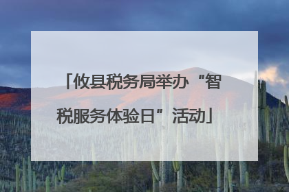 攸县税务局举办“智税服务体验日”活动