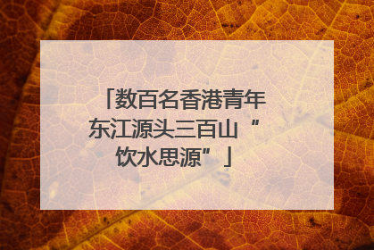 数百名香港青年东江源头三百山“饮水思源”
