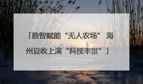 数智赋能“无人农场” 海州夏收上演“科技丰景”