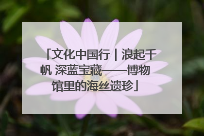 文化中国行｜浪起千帆 深蓝宝藏——博物馆里的海丝遗珍