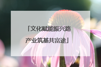 文化赋能振兴路 产业筑基共富途