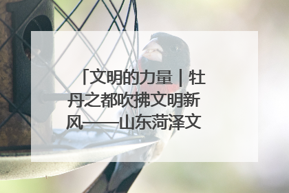 文明的力量｜牡丹之都吹拂文明新风——山东菏泽文明创建一线见闻