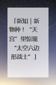 新知｜新物种！“天宫”里惊现“太空六边形战士”