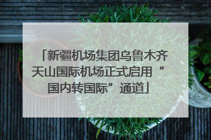 新疆机场集团乌鲁木齐天山国际机场正式启用“国内转国际”通道