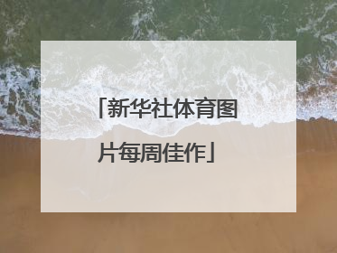 新华社体育图片每周佳作