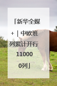 新华全媒+｜中欧班列累计开行110000列