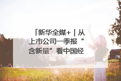 新华全媒+｜从上市公司一季报“含新量”看中国经济发展向“新”