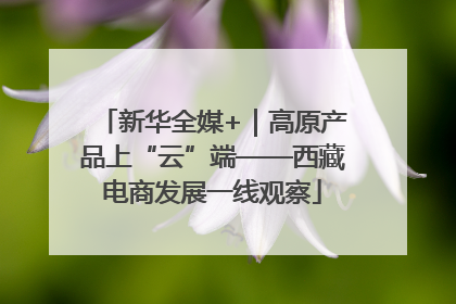 新华全媒+｜高原产品上“云”端——西藏电商发展一线观察