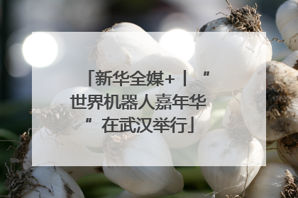 新华全媒+丨“世界机器人嘉年华”在武汉举行