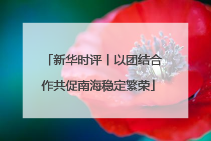 新华时评丨以团结合作共促南海稳定繁荣