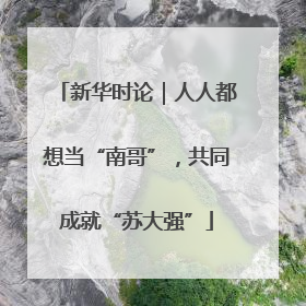 新华时论｜人人都想当“南哥”，共同成就“苏大强”