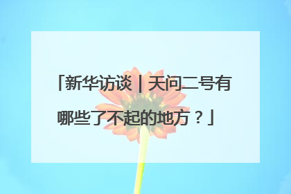 新华访谈｜天问二号有哪些了不起的地方？