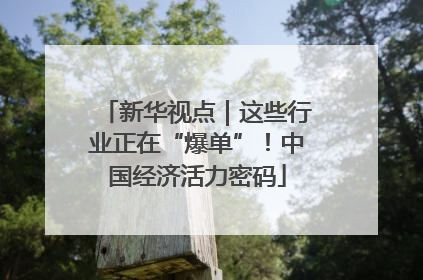 新华视点｜这些行业正在“爆单”！中国经济活力密码