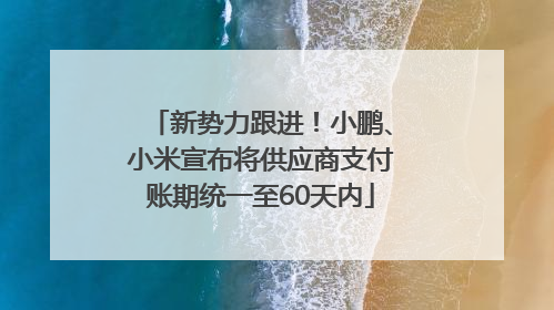 新势力跟进！小鹏、小米宣布将供应商支付账期统一至60天内