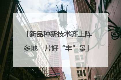 新品种新技术齐上阵 多地一片好“丰”景