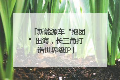 新能源车“抱团”出海，长三角打造世界级IP