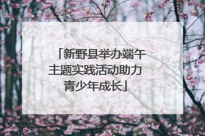 新野县举办端午主题实践活动助力青少年成长