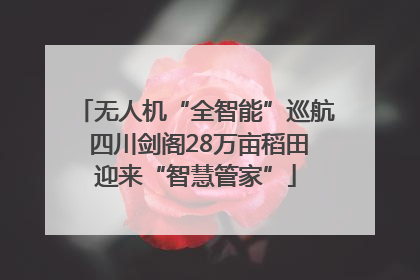无人机“全智能”巡航 四川剑阁28万亩稻田迎来“智慧管家”