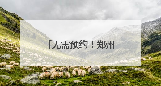 无需预约！郑州公安出入境部门开启暑期学生“夜间办证专场”