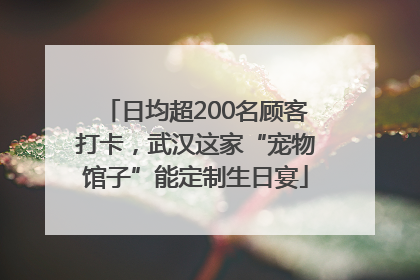 日均超200名顾客打卡，武汉这家“宠物馆子”能定制生日宴