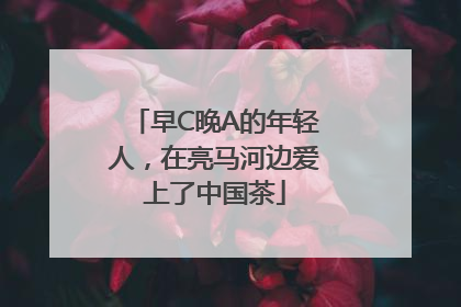 早C晚A的年轻人，在亮马河边爱上了中国茶