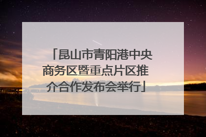 昆山市青阳港中央商务区暨重点片区推介合作发布会举行