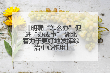 明确“怎么办”促进“办成事” 湖北着力于更好地发挥综治中心作用