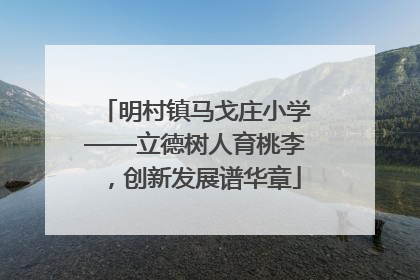 明村镇马戈庄小学——立德树人育桃李，创新发展谱华章