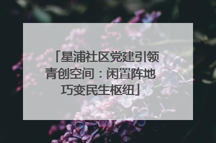星浦社区党建引领青创空间：闲置阵地巧变民生枢纽