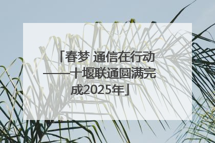 春梦 通信在行动——十堰联通圆满完成2025年