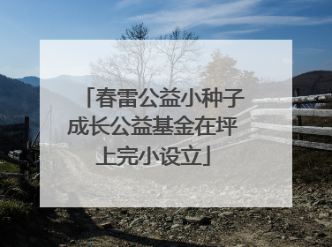 春雷公益小种子成长公益基金在坪上完小设立
