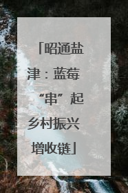 昭通盐津：蓝莓“串”起乡村振兴增收链