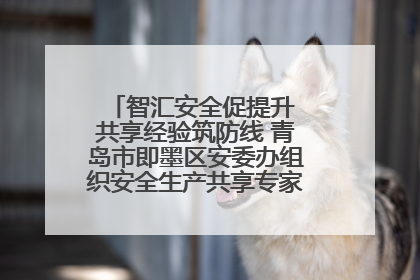 智汇安全促提升 共享经验筑防线 青岛市即墨区安委办组织安全生产共享专家现场观摩学习活动