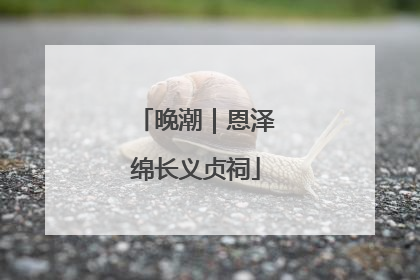 晚潮｜恩泽绵长义贞祠