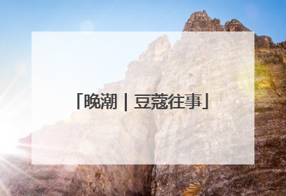 晚潮｜豆蔻往事