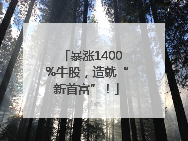 暴涨1400%牛股，造就“新首富”！