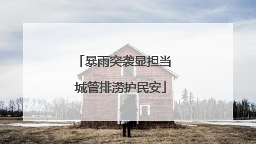 暴雨突袭显担当 城管排涝护民安