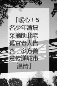 暖心！5名少年清晨采摘助北宅孤寡老人售杏，多方善意传递城市温情