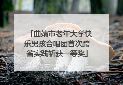 曲靖市老年大学快乐男孩合唱团首次跨省实践斩获一等奖