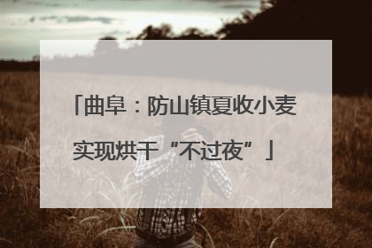 曲阜：防山镇夏收小麦实现烘干“不过夜”