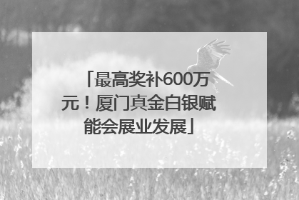 最高奖补600万元！厦门真金白银赋能会展业发展