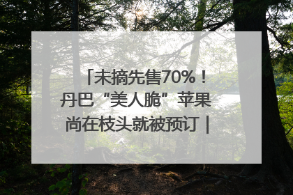 未摘先售70%！丹巴“美人脆”苹果尚在枝头就被预订｜长征路上看四川