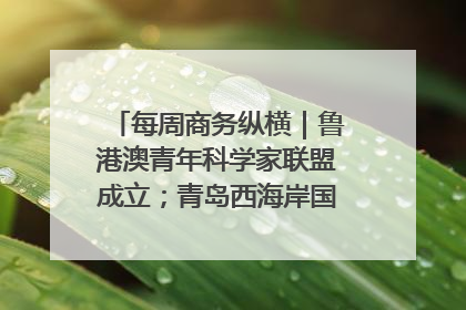 每周商务纵横｜鲁港澳青年科学家联盟成立；青岛西海岸国际能源自贸港启用