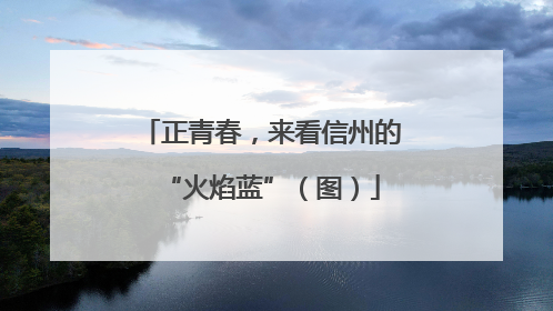 正青春，来看信州的“火焰蓝”（图）
