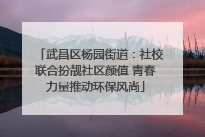 武昌区杨园街道：社校联合扮靓社区颜值 青春力量推动环保风尚