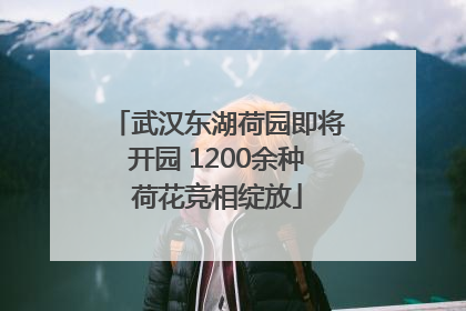 武汉东湖荷园即将开园 1200余种荷花竞相绽放