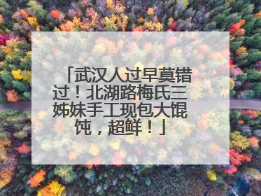 武汉人过早莫错过！北湖路梅氏三姊妹手工现包大馄饨，超鲜！