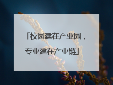 校园建在产业园，专业建在产业链